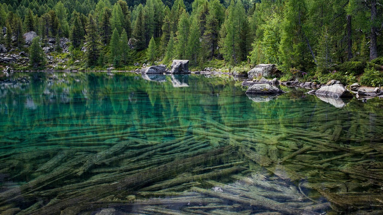 Caroline Fink - Landscapes of the Alps