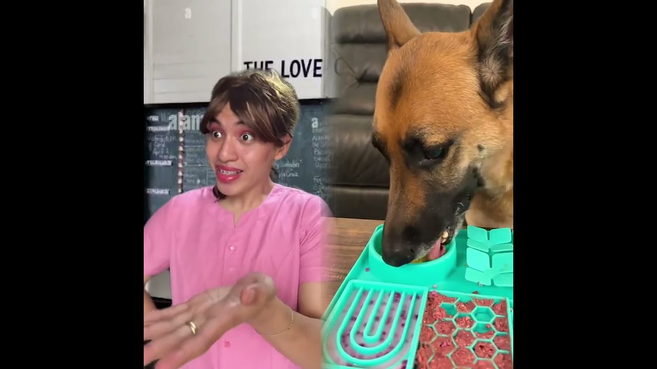 🤣👌👌👌2026 pov Must-Watch Crazy Clips Compilation #humor #fypシ #pov #fyp #foryou 😍😜