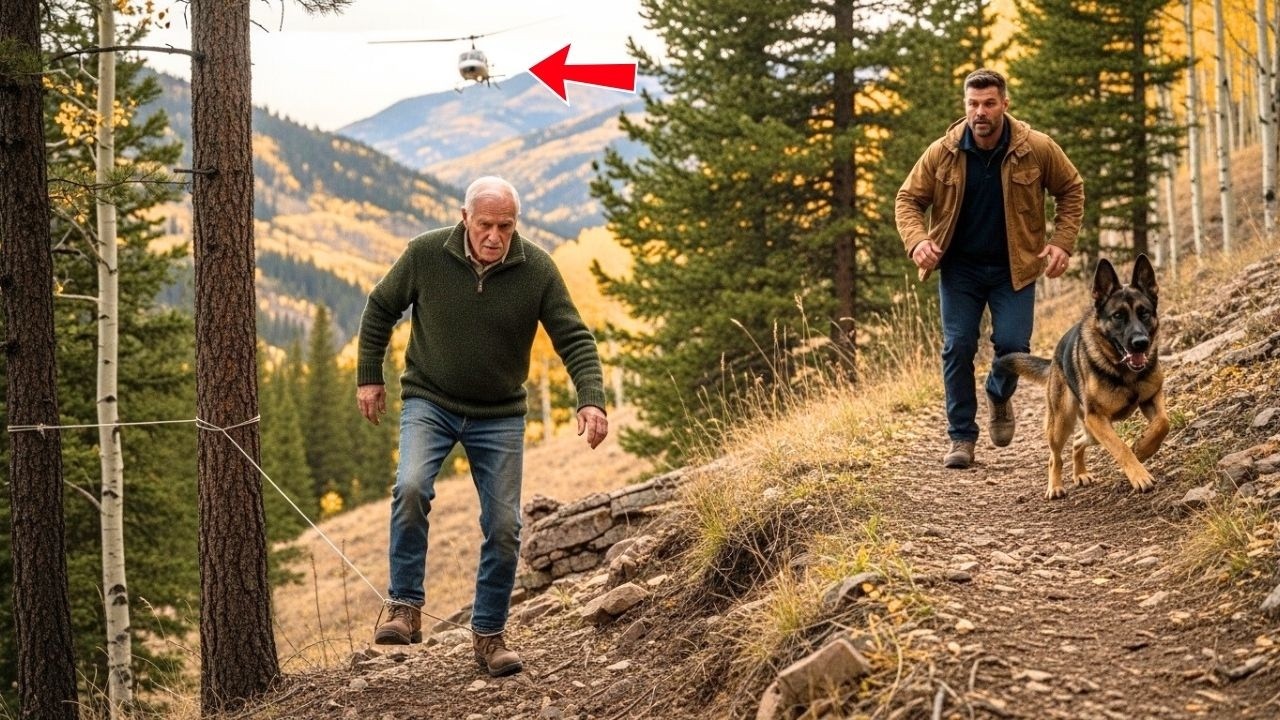 A Former Marine and His K9 Heard the Helicopter — What Happened to the Elderly Man Was No Accident