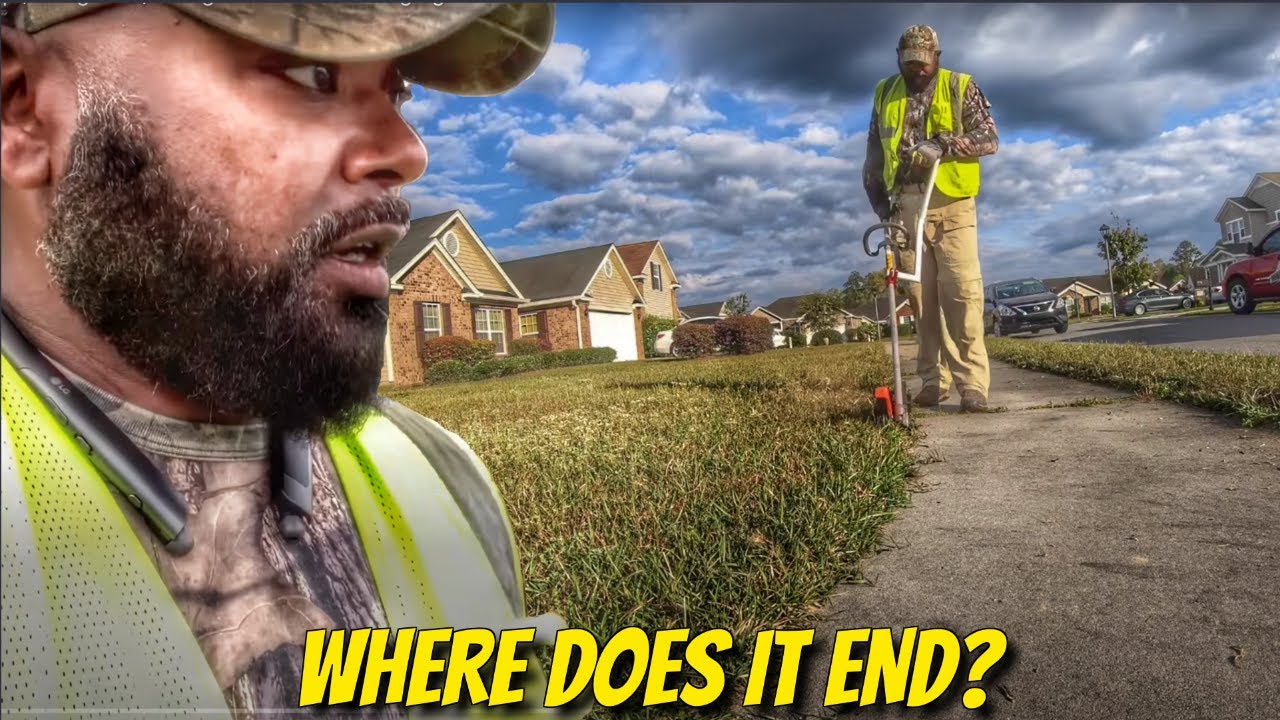 New property cleanup | Tall grass | Overgrown sidewalk edging