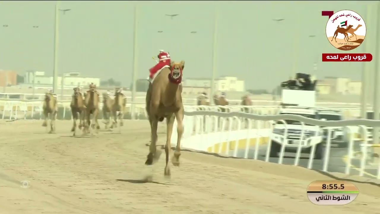 ش 2.. ( خنجر الزمول العمانيات )طوفان لـ نايل راشد سيف الشامسي 12:04:26(*مهرجان الامير الوالد 2026* )