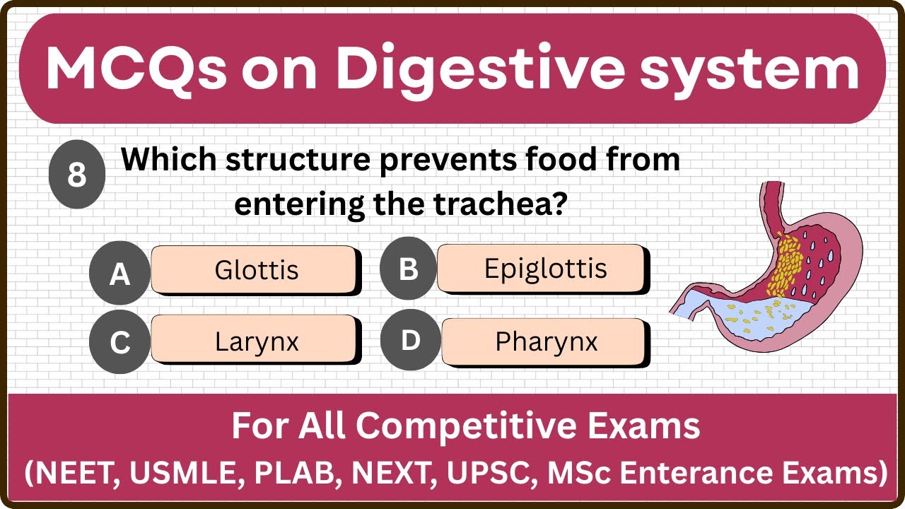Top 25+ Mcqs on digestive system || Digestive system MCQs