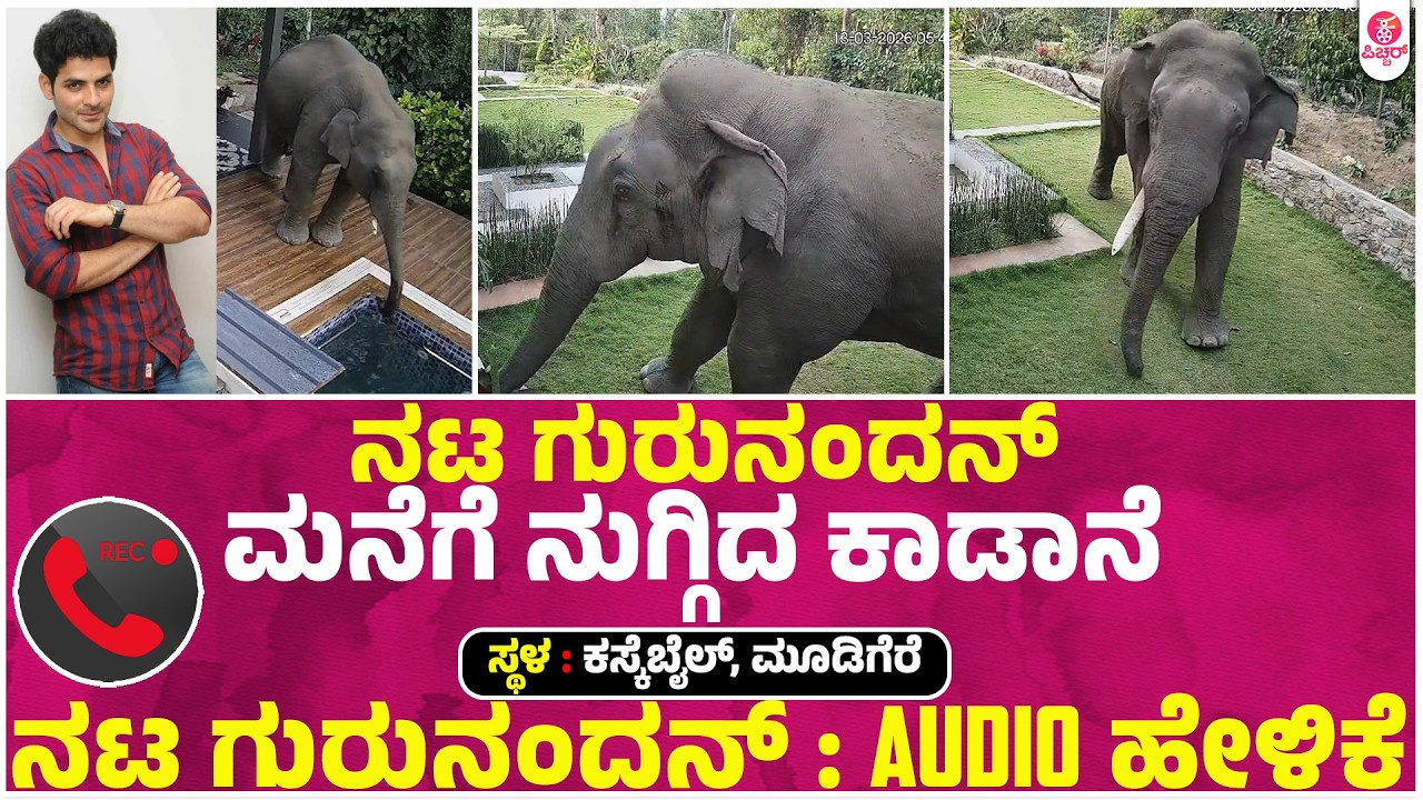 ನಟ ಗುರುನಂದನ್ ಗ್ರಾಮದ ಮನೆಗೆ ನುಗ್ಗಿದ ಕಾಡಾನೆ | Elephant attack in Mudigere | Gurunandan