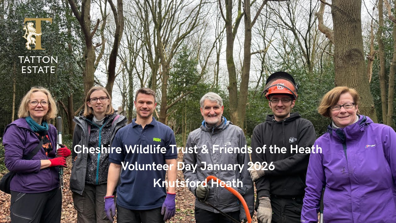 Cheshire Wildlife Trust Conservation Day on Knutsford Heath with Friends of The Heath - January 2026