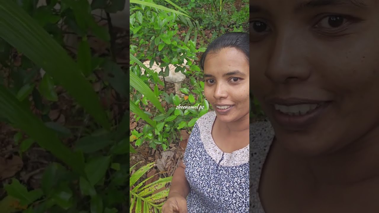 എന്റെ വീടും പറമ്പും കാണിച്ചു തരാട്ടോ🥰🥰🥰