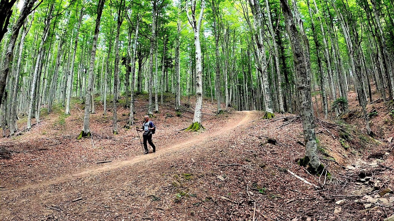 Escursione 4K -  Anello di Badia Prataglia - Foreste casentinesi - Trekking in Toscana