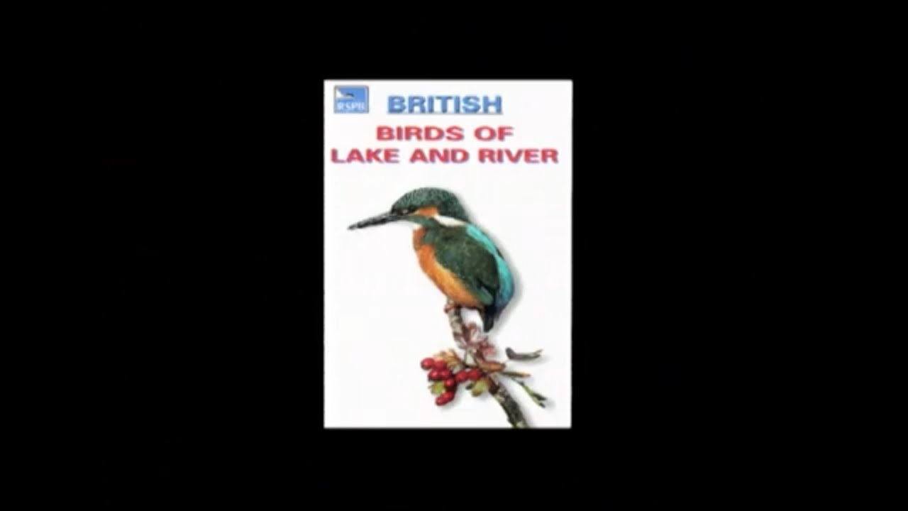 BRIT BIRDS OF LAKES AND RIVERS