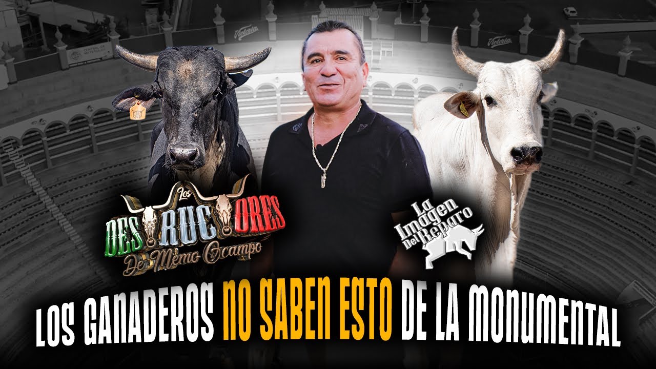 ¡LO QUE LOS GANADEROS AÚN NO SABEN DE LA MONUMENTAL! LOS DESTRUCTORES