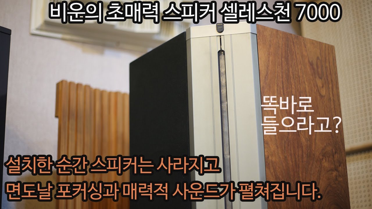 비운의 초매력 스피커 셀레스천 7000 리뷰