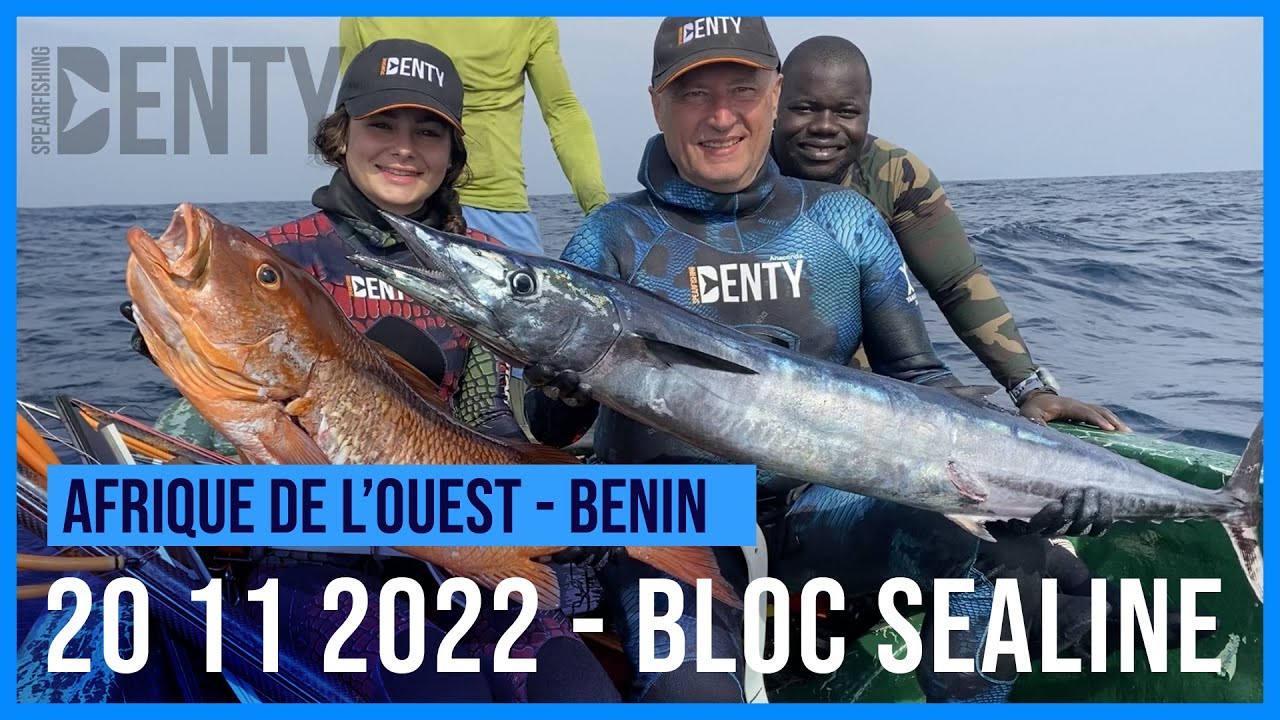 Un pêche magique au bénin en Chasse sous-marine, avec Wahoo, Carpe Rouge, Carangue et Barracuda.