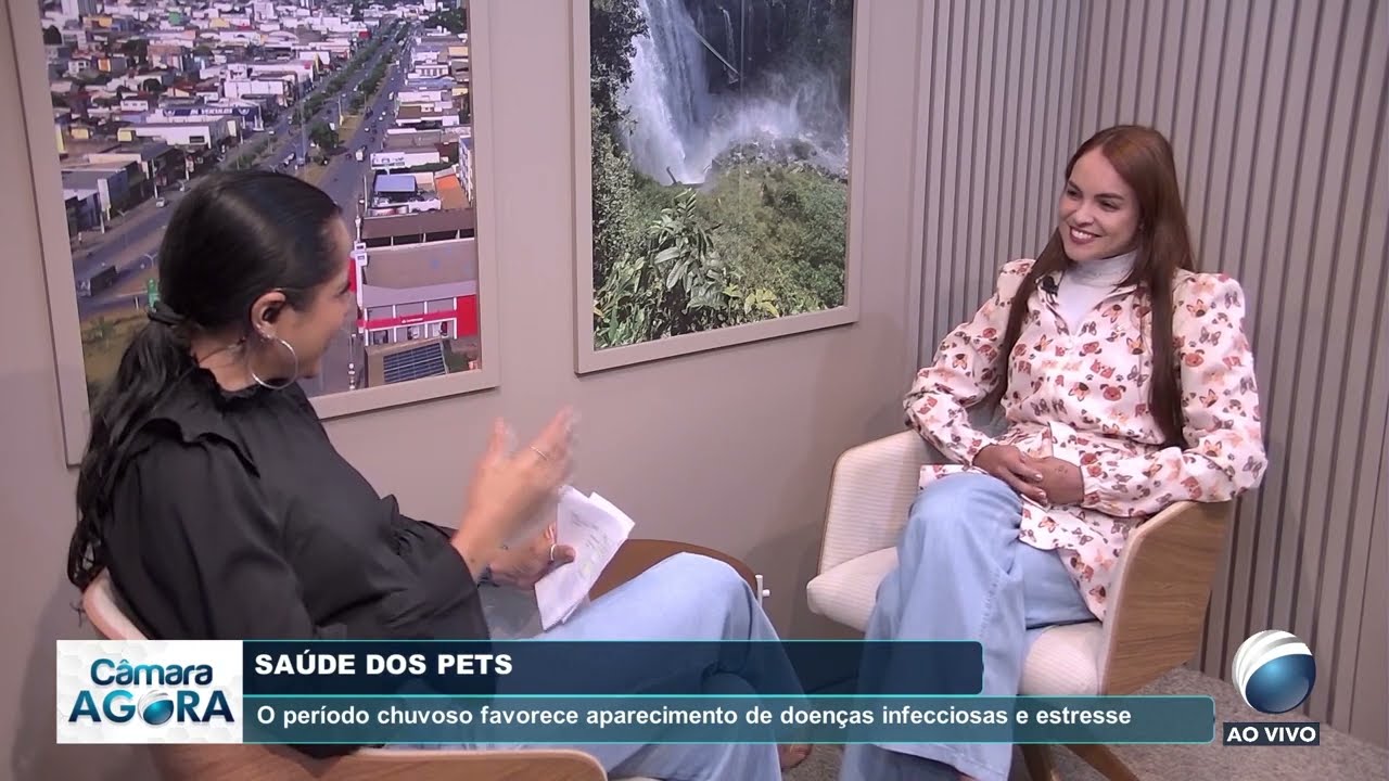 Saúde dos Pets: O período chuvoso favorece aparecimento de doenças infecciosas e estresse