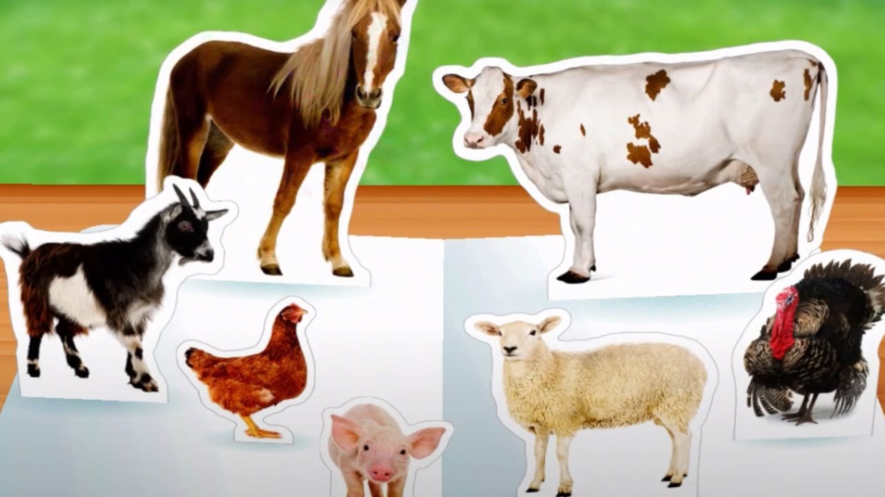 On The Farm  - App for English Learning