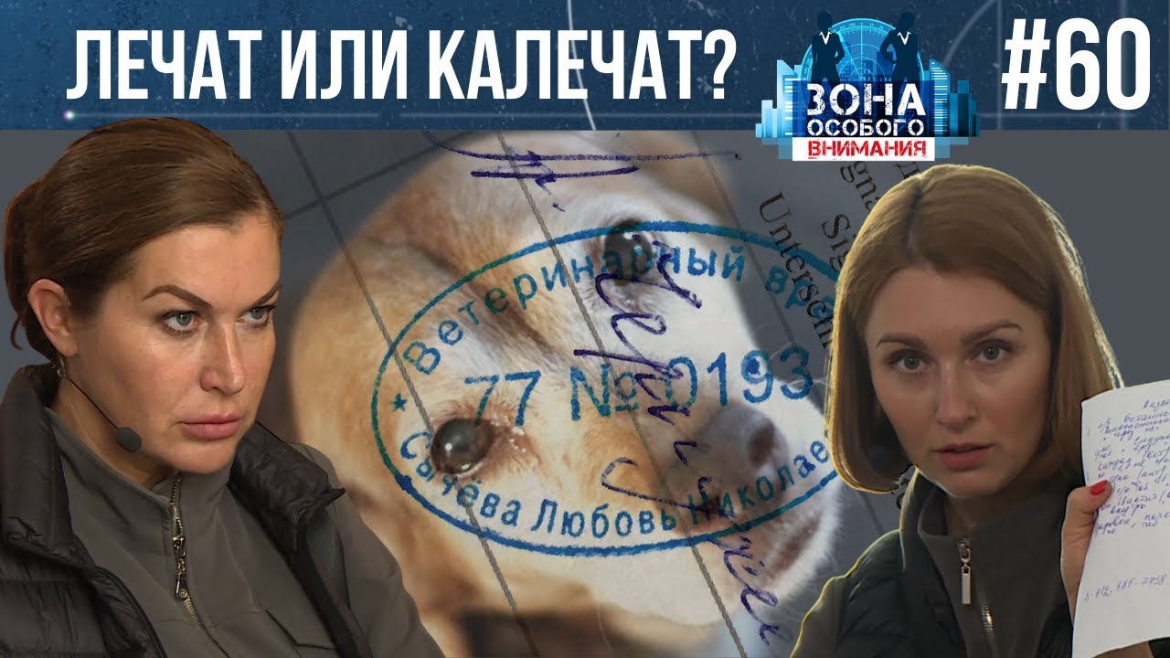Осторожно, ветеринары по вызову! Зона особого внимания #60
