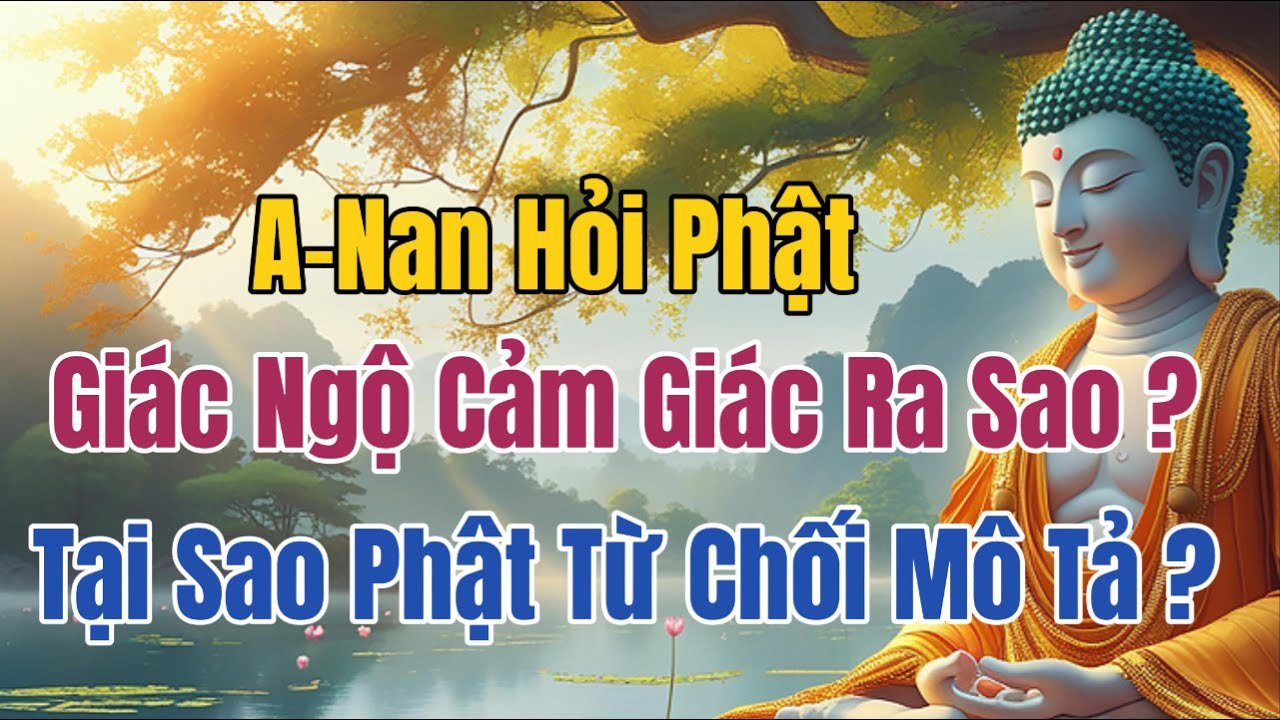 A Nan Hỏi Phật Cảm Giác Của Người Giác Ngộ ? - Đức Phật Giảng Bản Chất Của Giác Ngộ