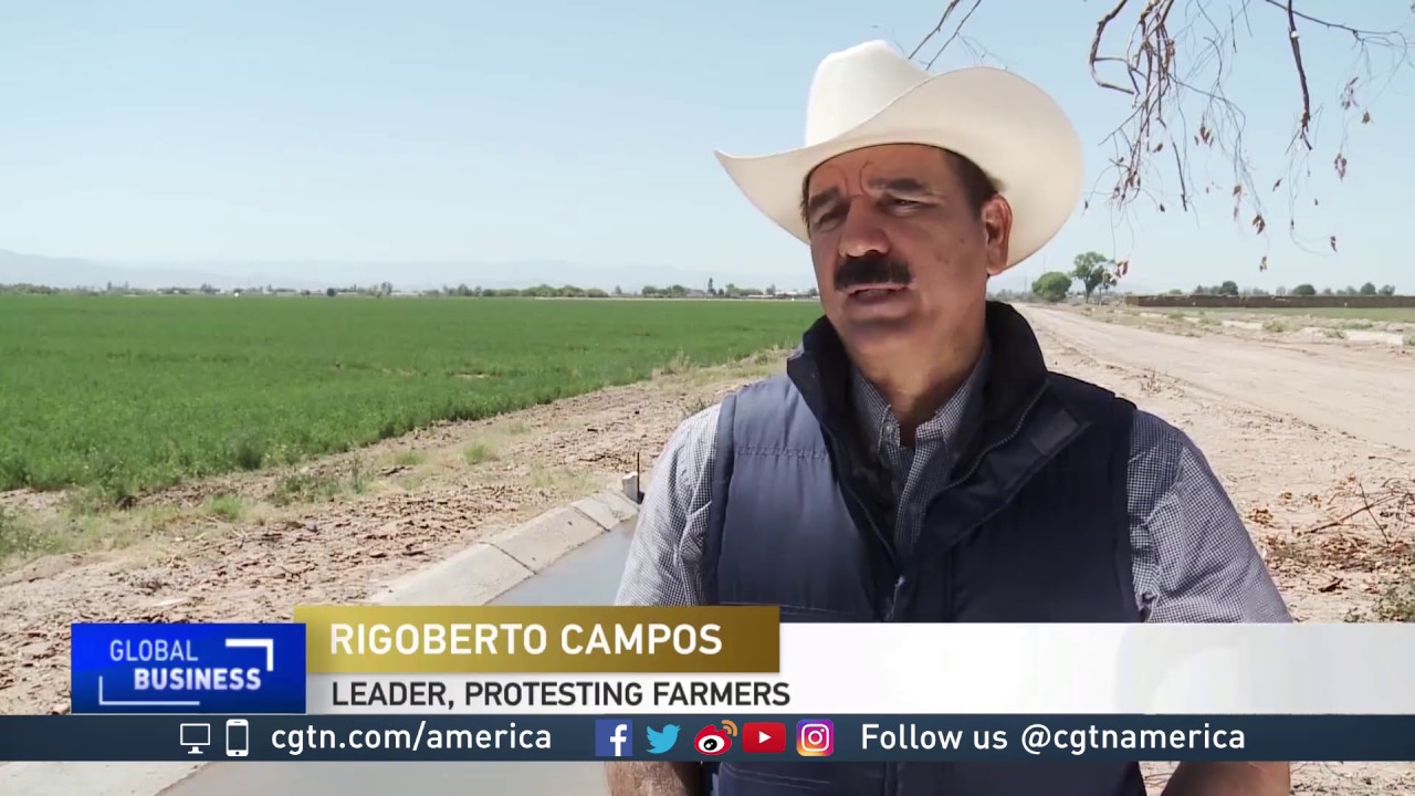 Mexican farmers protest construction of US brewery