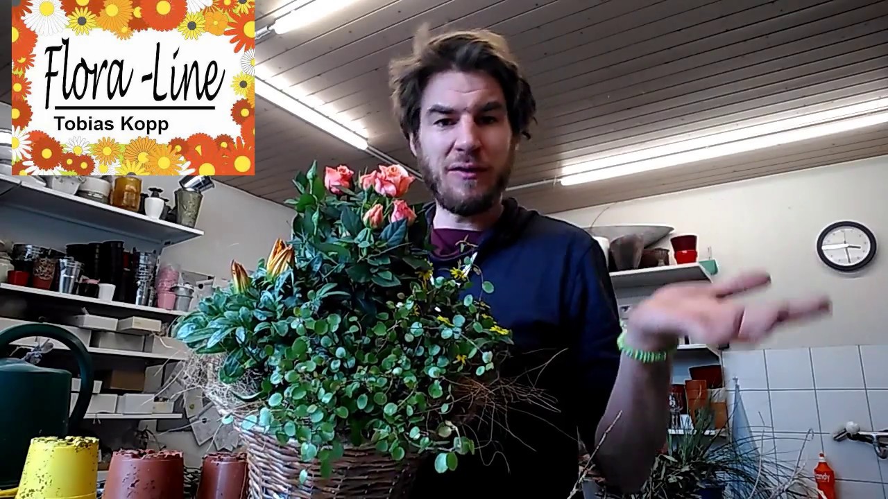 Korb sommerlich füllen - DIY - Sommerpflanzen für die Sonne