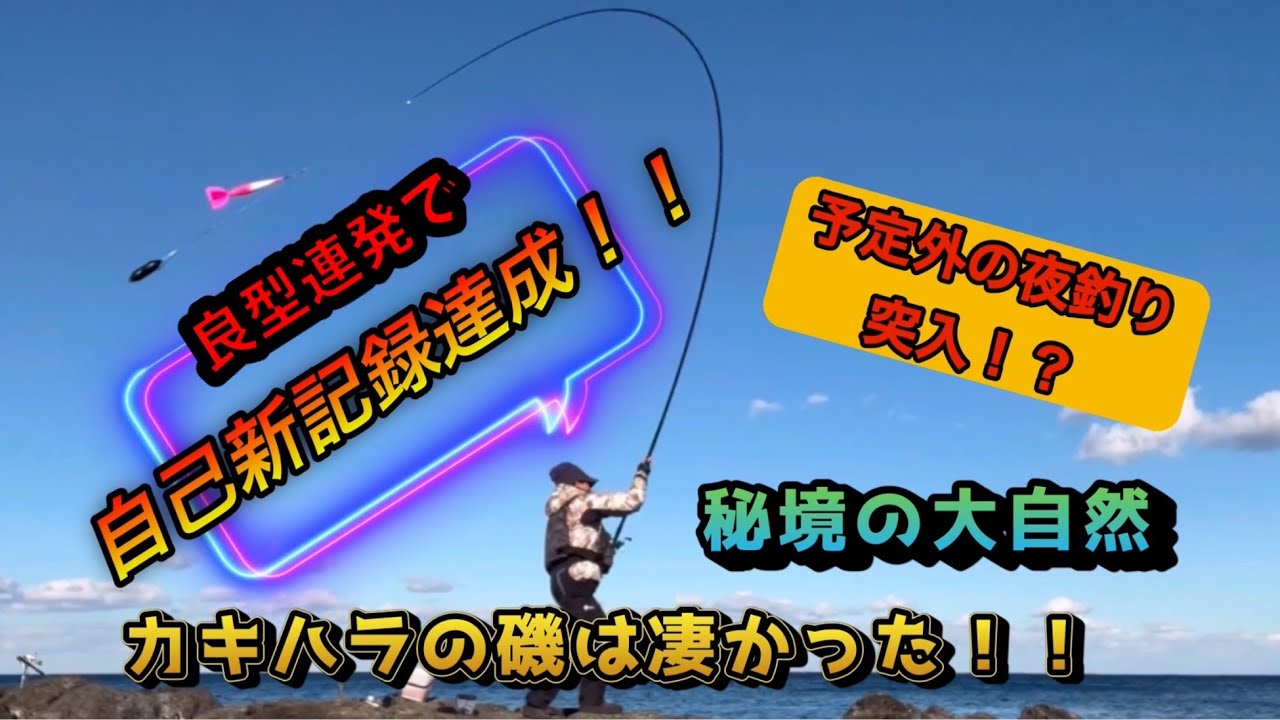 【12月中旬:カキハラ地磯/両軸遠投カゴ釣り】