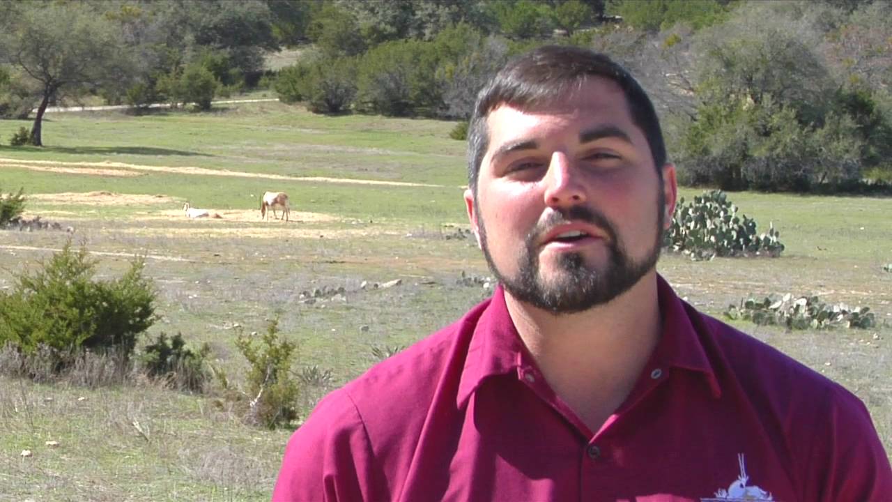 Fun Fact Friday: Scimitar-Horned Oryx