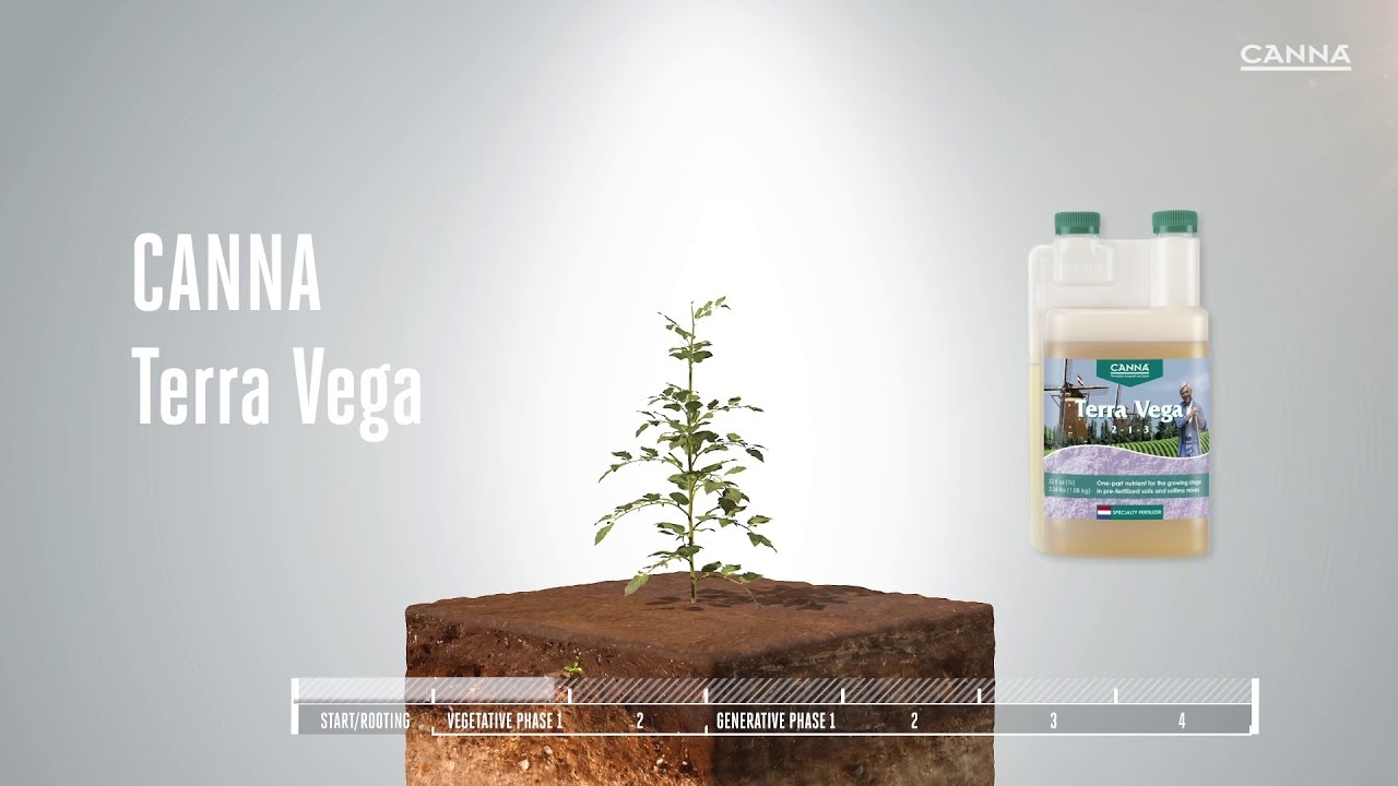 (US) CANNA Terra Vega