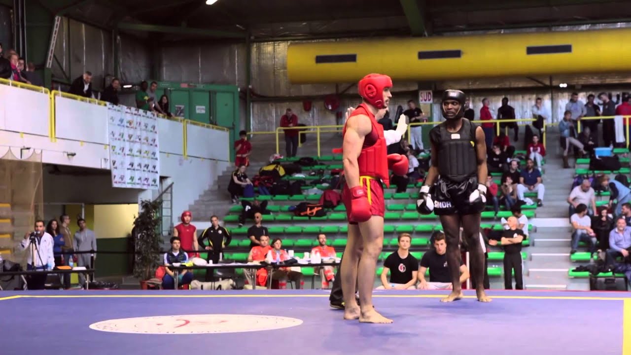 Olivier Trentin vs Georges Gnogbo - Sanda -90kg - Toulouse 2014