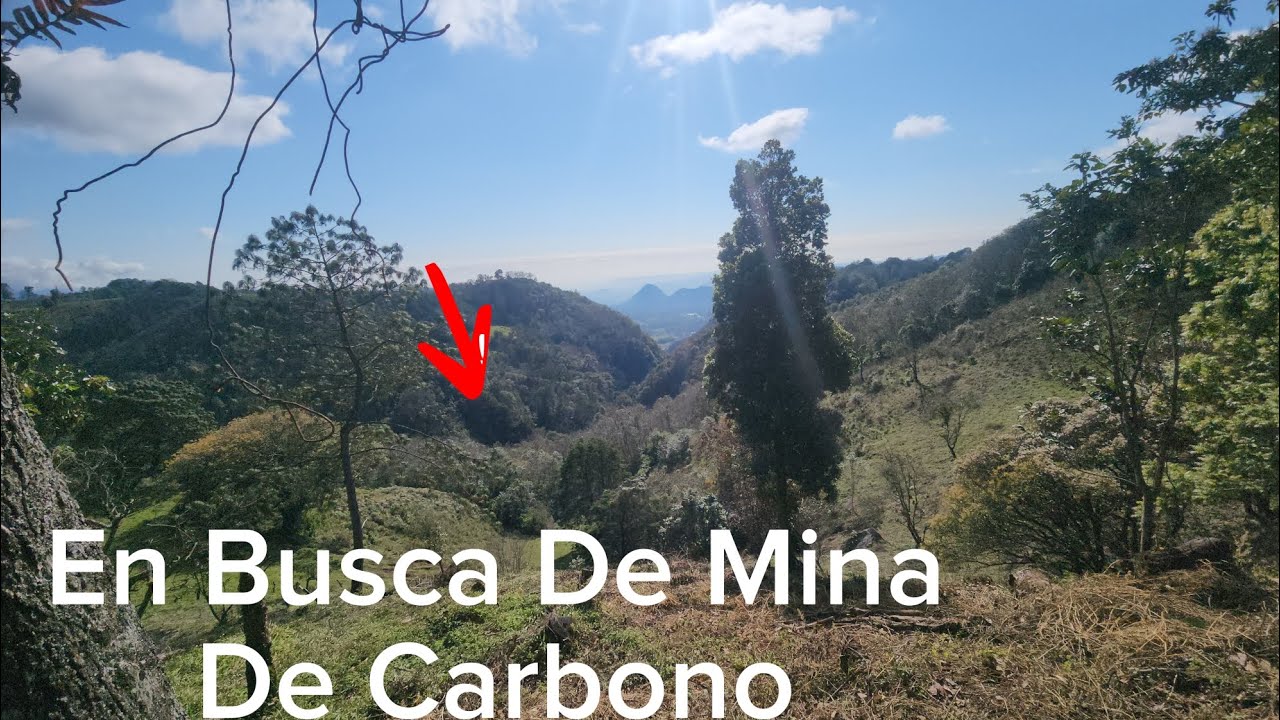 Donde Fui A Parar Buscando Mina De Carbono 