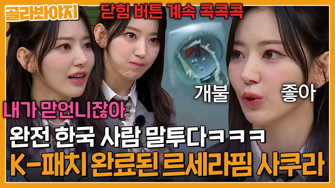 ＂ 수과씀다~ ＂ 말투부터 아재 입맛까지 어느새 한국인 특징 전부 흡수한 사쿠라ㅋㅋㅋ｜아는형님｜JTBC 230502 방송