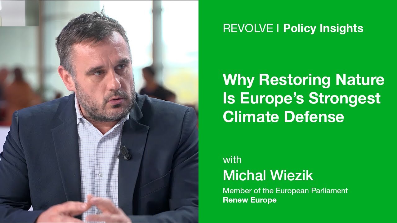 Почему восстановление природы — самая надежная защита Европы от изменения климата (автор: Михал В...