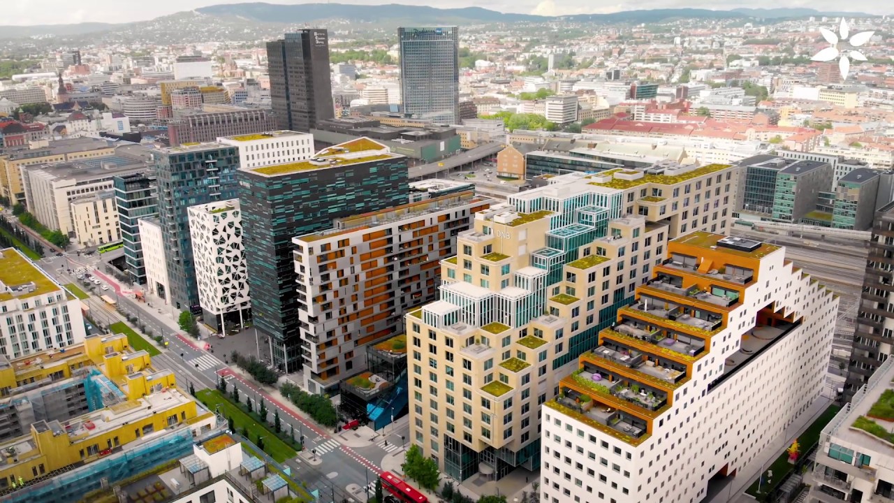 Gr&oslash;nne tak i Bj&oslash;rvika