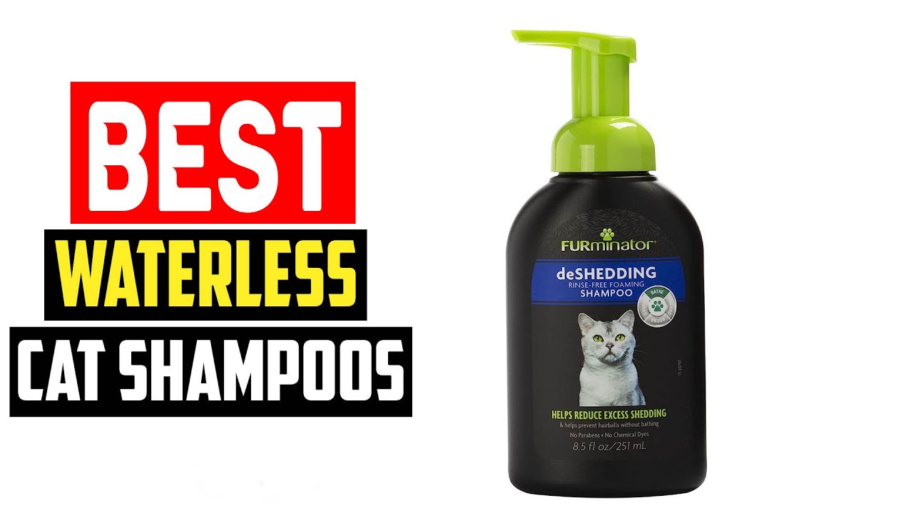 ✅Top 5 Best Waterless Cat Shampoos of 2025