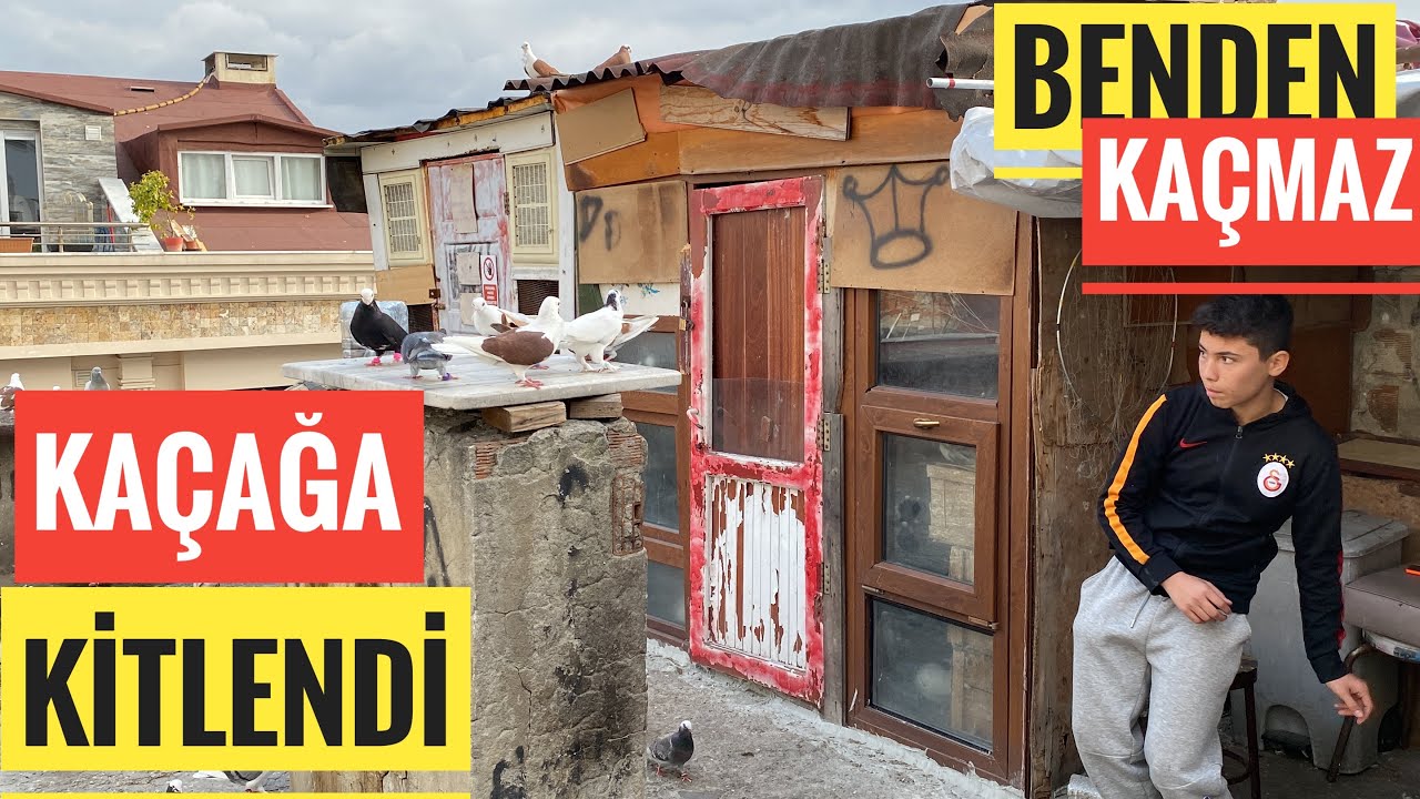 45 DAKİKA SÜREN KAÇAK YAKALAMA OPERASYONU TİKTOKTA 60.000 KİŞİ İZLEDİ