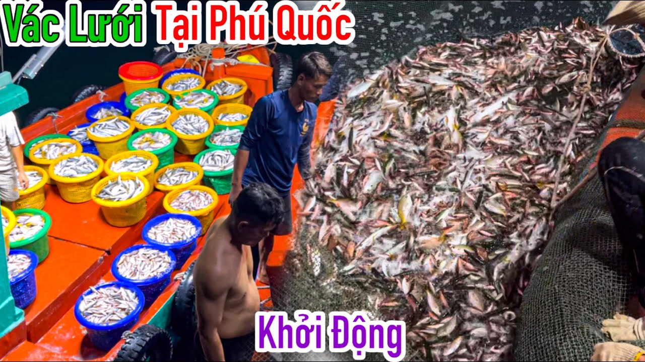 Lưới Bao Rạn 20 | Vác Lưới Đầu Tiên Chuyến Đi Tại Phú Quốc | Trở Lại Điểm Sau Nhiều Năm