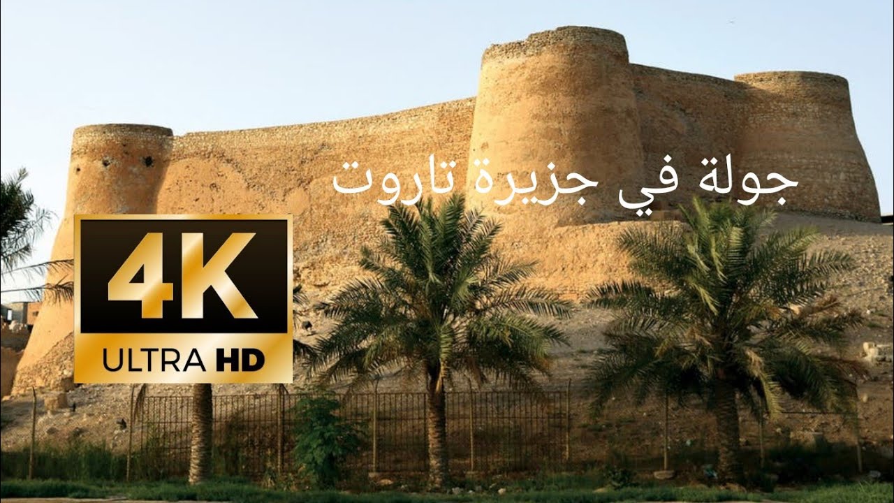 جزيرة تاروت المملكة العربية السعودية