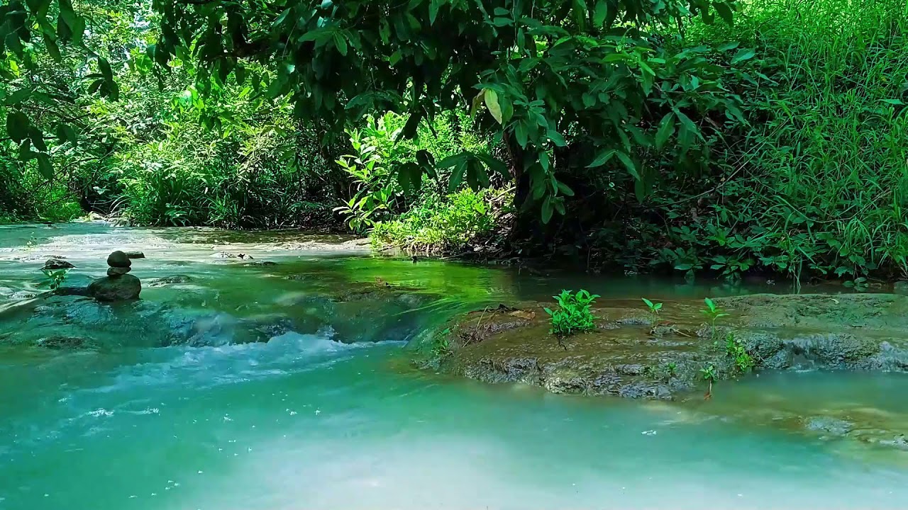 Nature Sounds for Sleeping No Ads 💧 Soft Flowing Water for Insomnia Relief