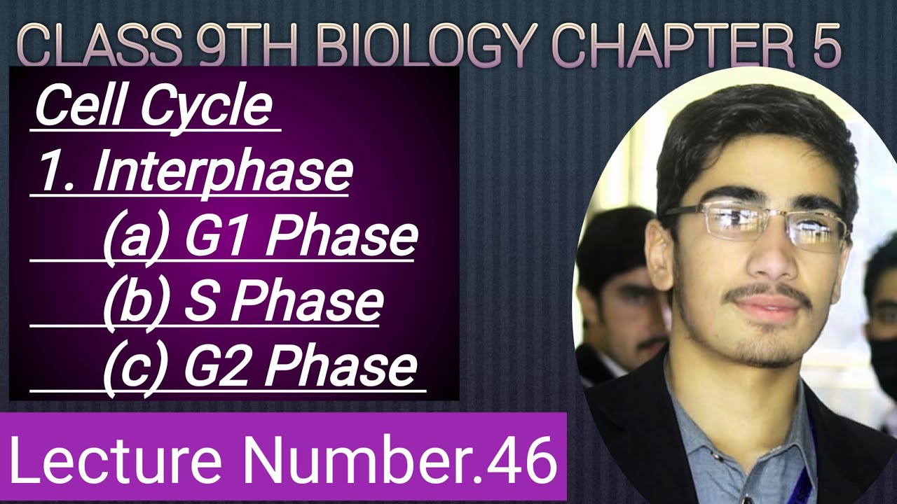 Cell Cycle| Interphase| G1- Phase| S- Phase| G-2 Phase Class 9th In Pashto By Learn with Mifta