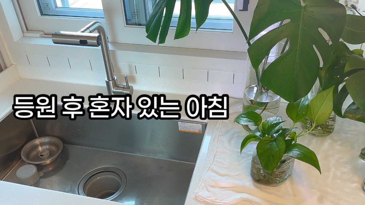 아이 등원 후 혼자 보내는 아침 | 아이스라떼, 기름떡볶이, 식물 물갈이 브이로그🌿