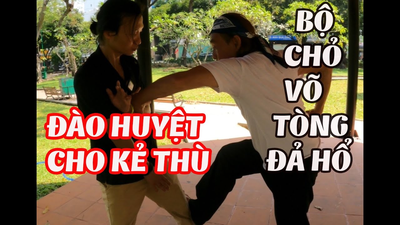 Giải Mã Bộ Chỏ Võ Tòng Đả Hổ, Đào Huyệt Cho Kẻ Địch Cũng Là Mồ Chôn Chính Mình