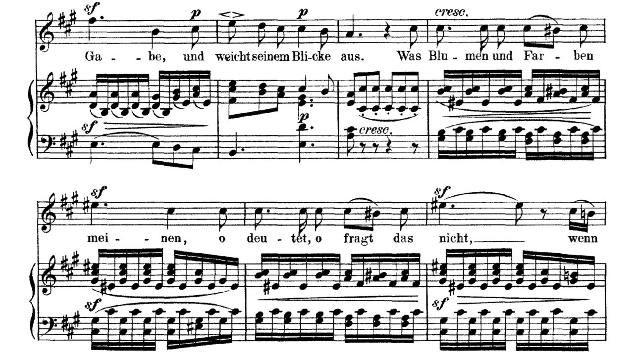 Der Blumenstrauss(F. Mendelssohn Op.47-5)반주 Piano Accompaniment