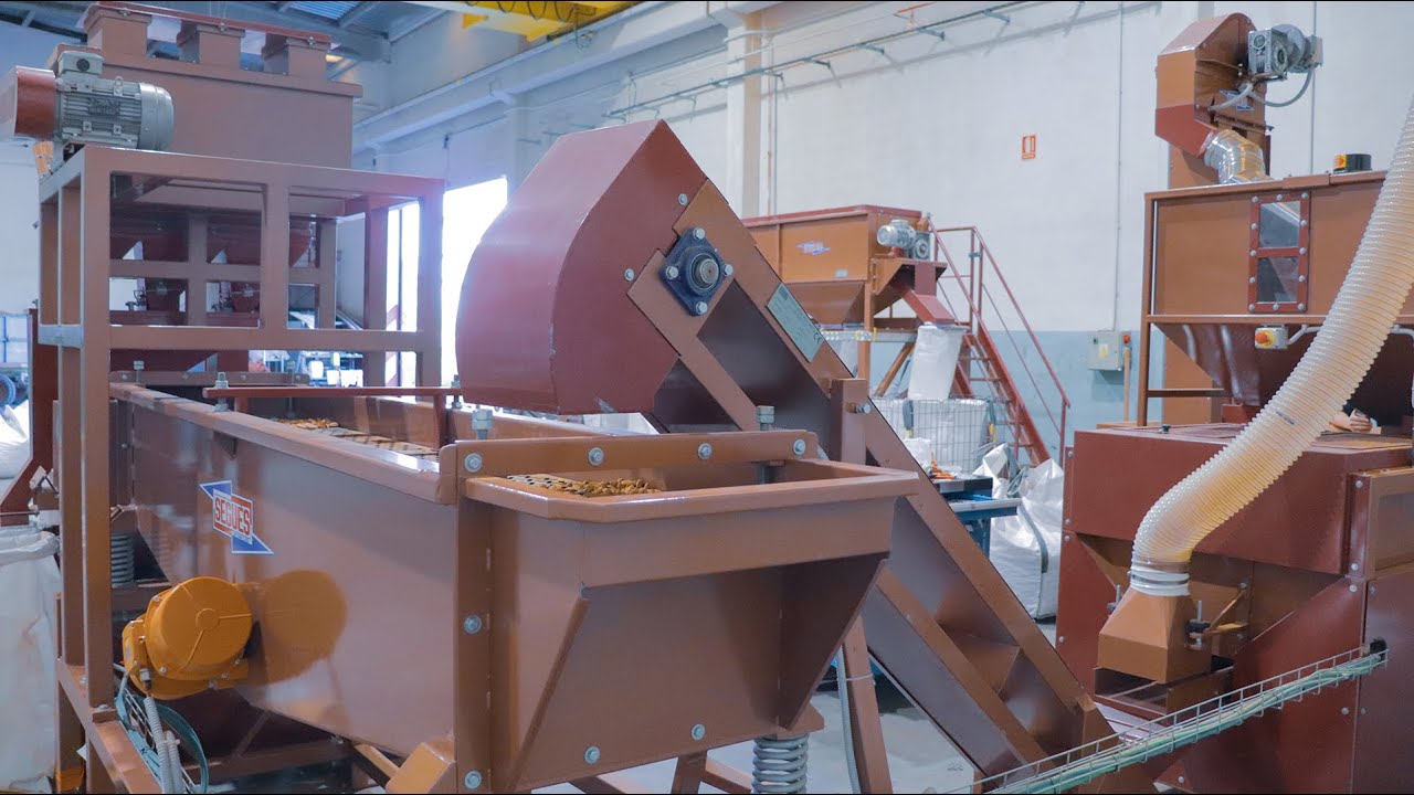 Línea rompedora de frutos secos de 200 a 260 kg/h con calibradora de 4+1