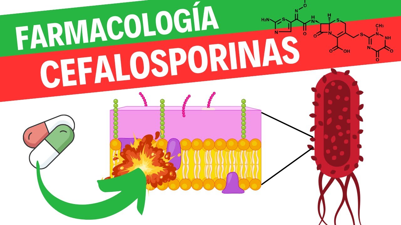 Farmacología de las cefalosporinas