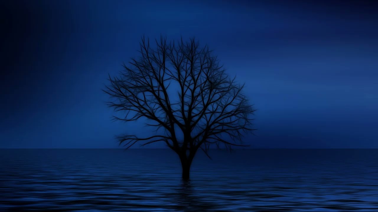 [Playlist]  Cold Solitude | Dark Piano for Loneliness