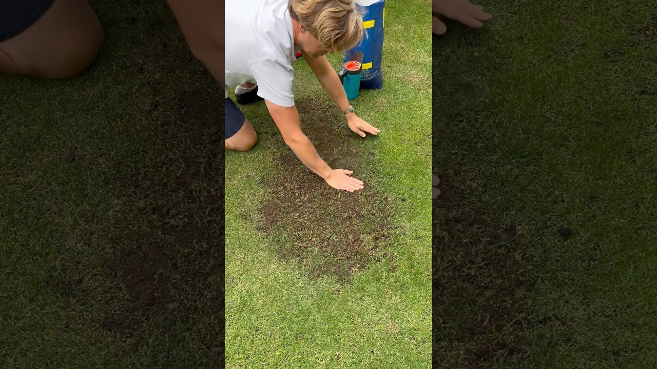Autumn Lawn Care Jobs