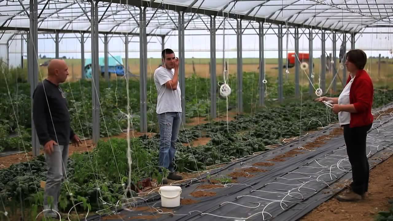 SOLIBIO : le Jardin de Cocagne du pays de Beauce