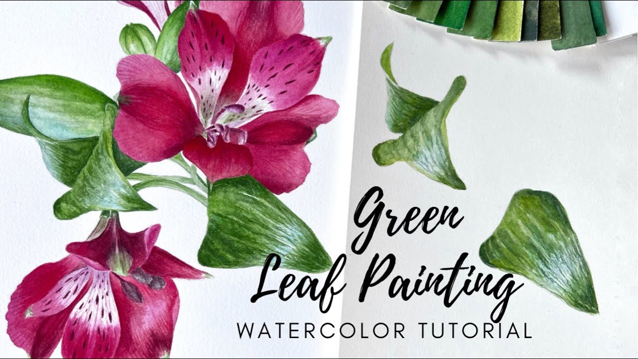 Green Leaf Watercolor Painting Tutorial // Alstroemeria leaves painting process // Realistic Leaf
