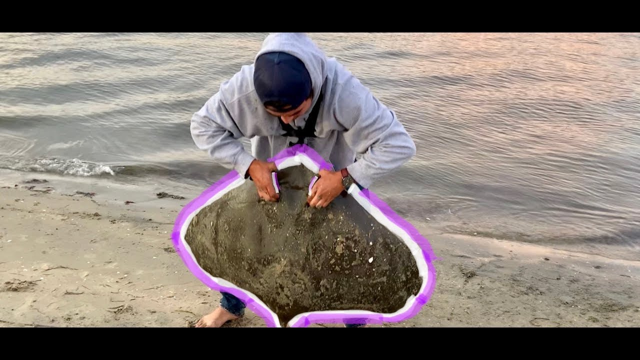 HOW TO CATCH STINGRAY (huge stingray) (San Diego)
