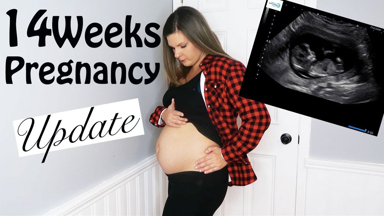 14 WEEKS PREGNANCY UPDATE| ULTRASOUND RESULTS| SYMPTOMS| SECOND TRIMESTER