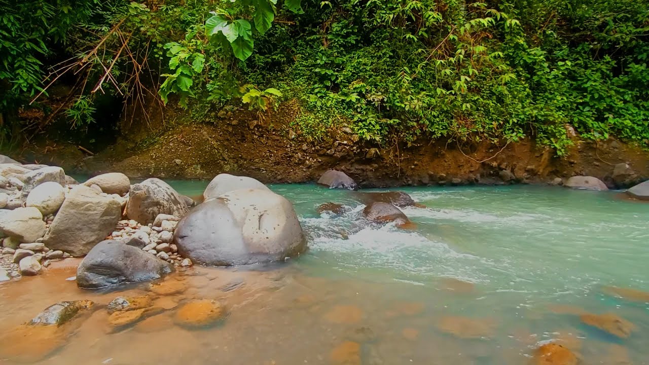 🔴 ASMR/5 🧘&zwj;♀️ RIVER MINDFULNESS PROTOCOL | Elite Focus Enhancement System
