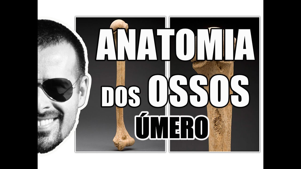 Acidentes ósseos do Úmero - Sistema Ósseo/Esquelético - VideoAula 061