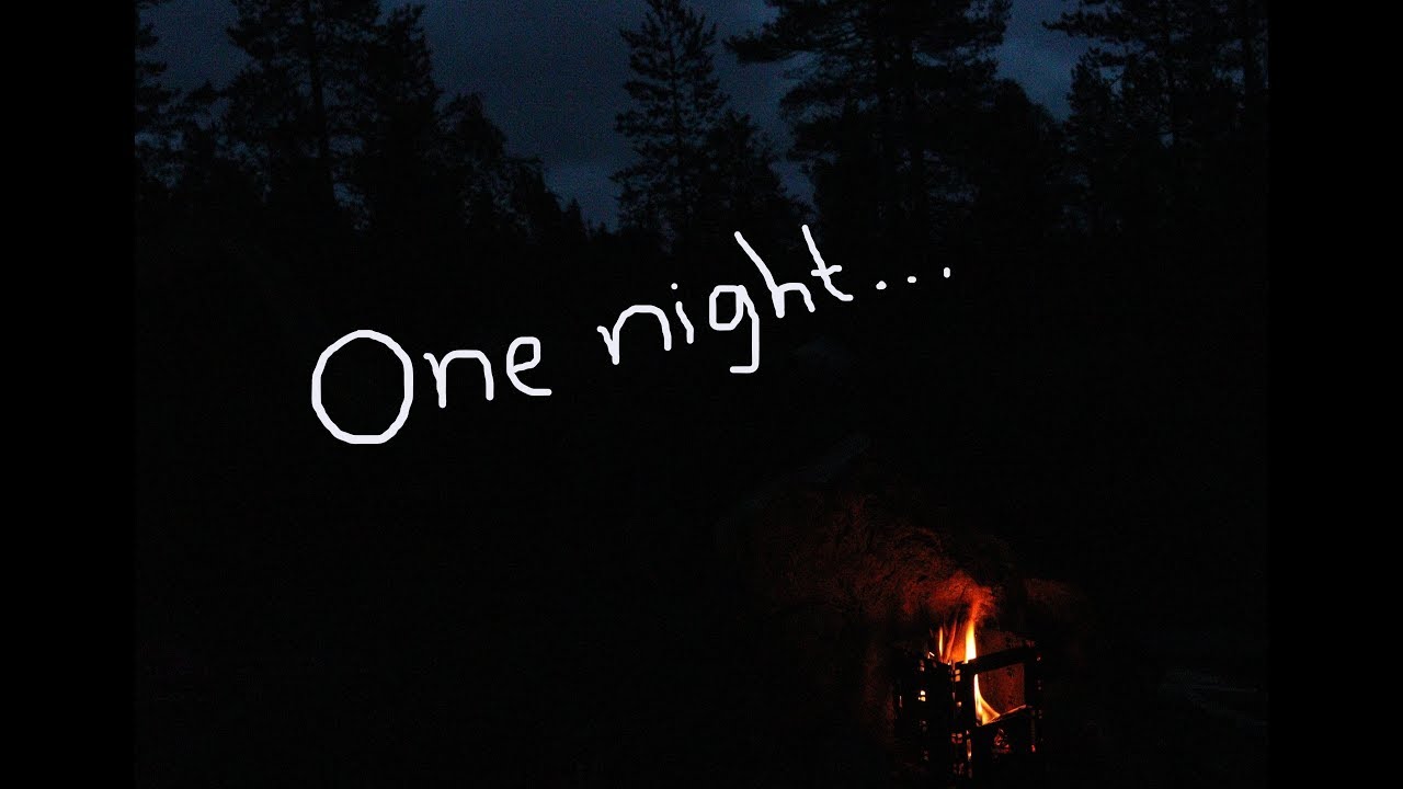 One night out + Bushbox LF Review