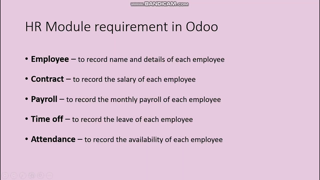 Odoo 18 HR Module
