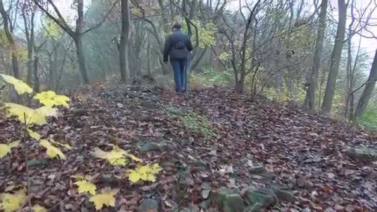 Balade dans la Réserve Naturelle de Sclaigneaux - Andenne